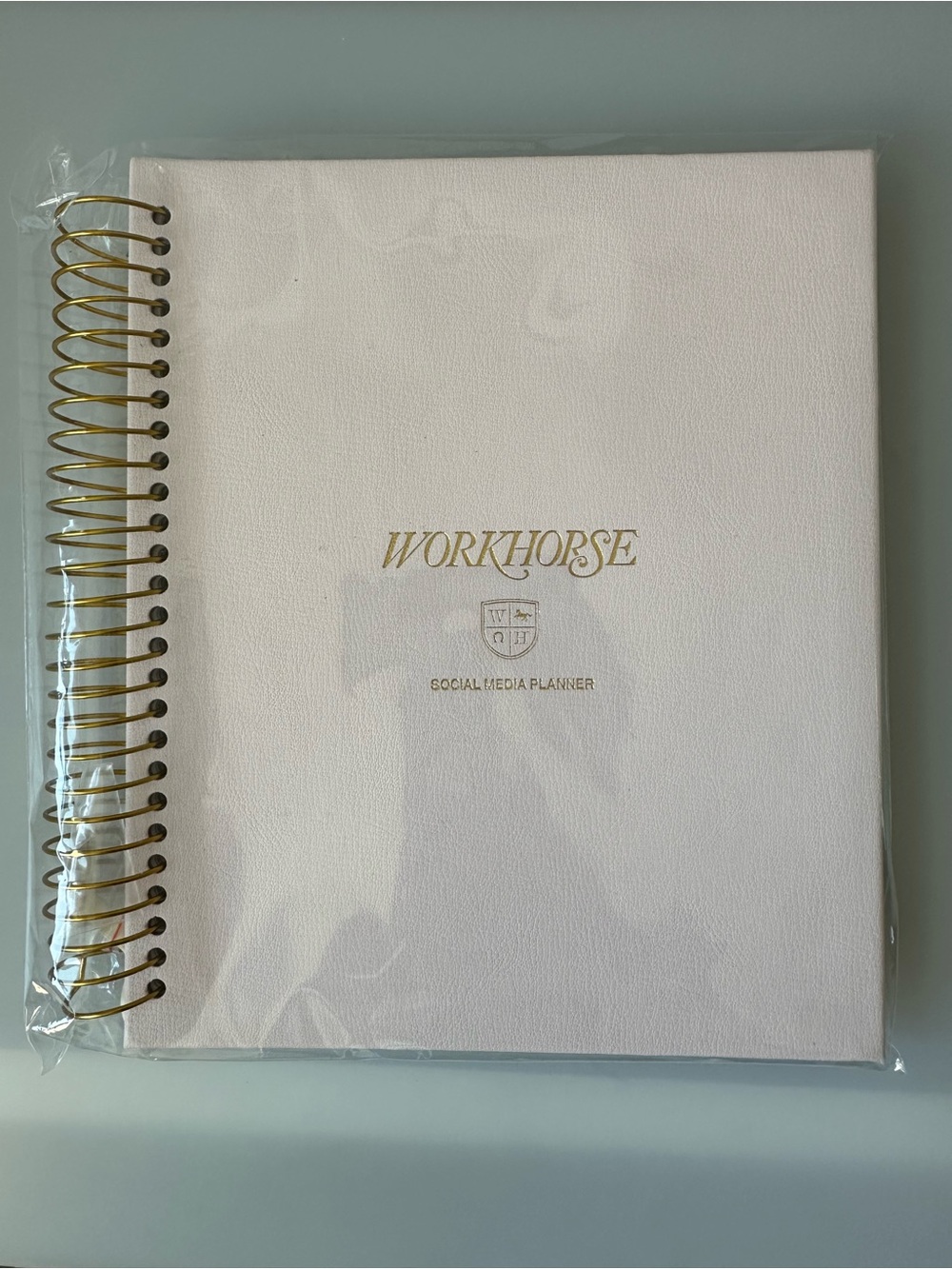 NWT WORKHORSE LIMITED EDITION MILKY PINK Social Media PLANNER Undated